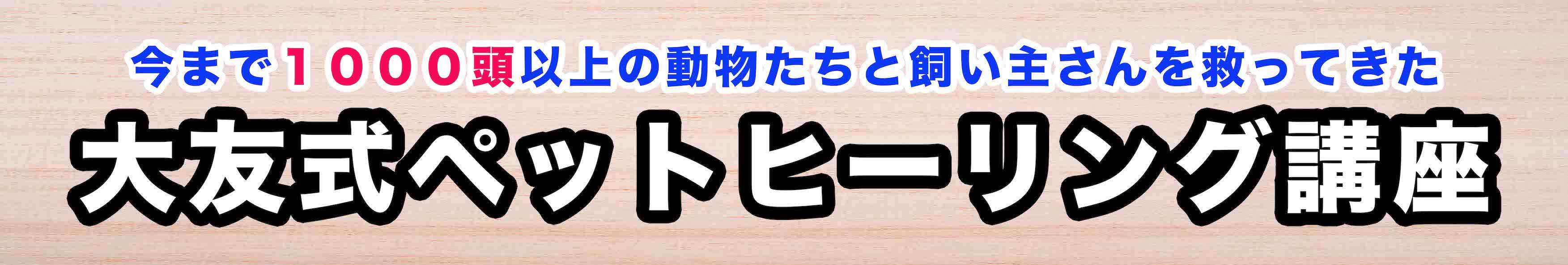 無料で動画セミナーを体験してみてください！