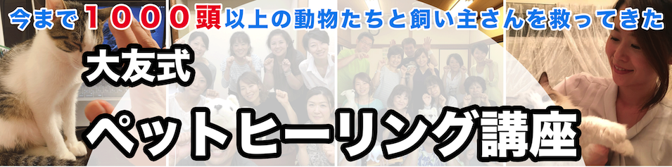 ファーストビュー①