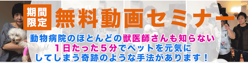 ファーストビュー②