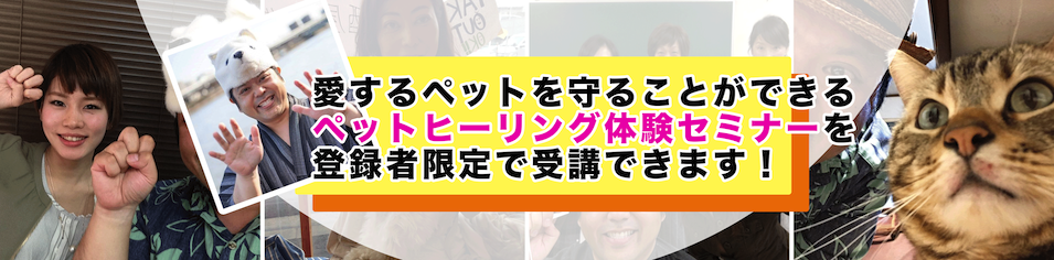 ファーストビュー③