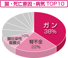 猫の死因トップ１０