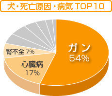 犬の死因トップ１０
